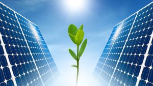 پنل خورشیدی برای نسل های آینده 300x169 - پنل خورشیدی برای نسل های آینده
